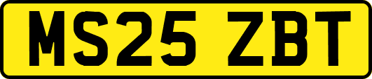 MS25ZBT