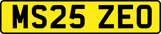MS25ZEO