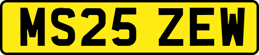 MS25ZEW