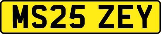 MS25ZEY