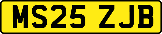 MS25ZJB