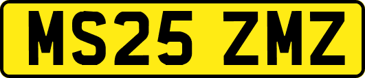 MS25ZMZ