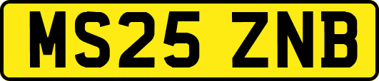 MS25ZNB