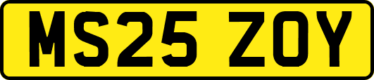 MS25ZOY