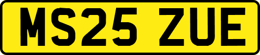 MS25ZUE