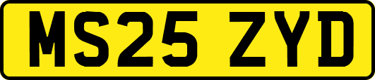 MS25ZYD