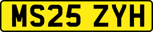 MS25ZYH
