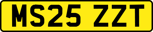 MS25ZZT