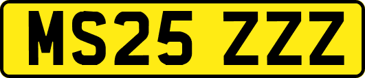 MS25ZZZ