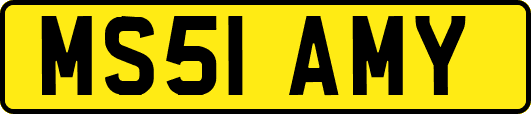 MS51AMY