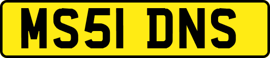 MS51DNS