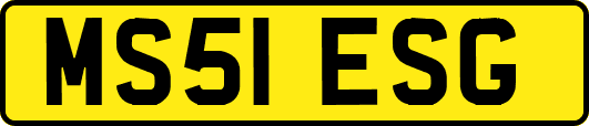 MS51ESG