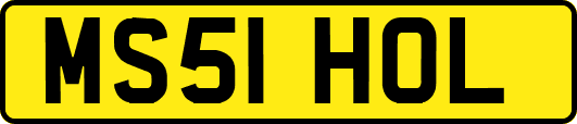 MS51HOL