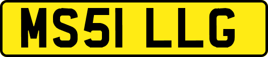 MS51LLG