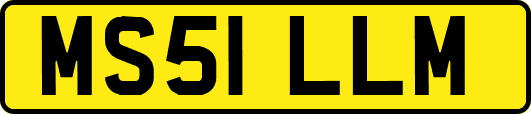 MS51LLM