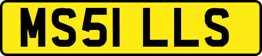 MS51LLS