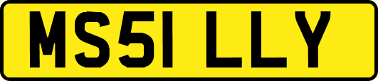 MS51LLY