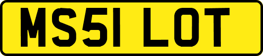 MS51LOT