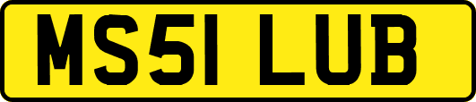 MS51LUB