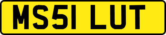 MS51LUT