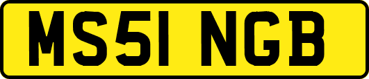 MS51NGB