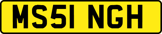 MS51NGH