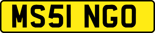 MS51NGO