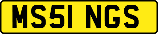 MS51NGS