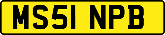 MS51NPB