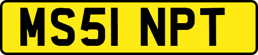 MS51NPT