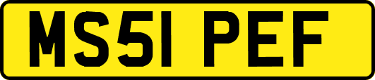 MS51PEF