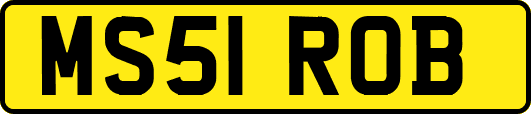 MS51ROB