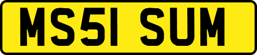 MS51SUM