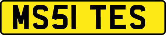 MS51TES