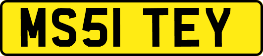 MS51TEY