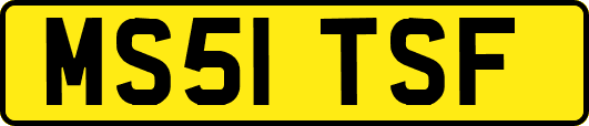 MS51TSF