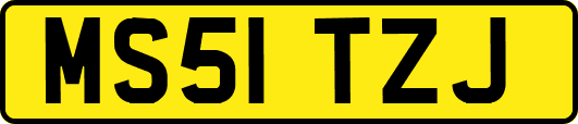 MS51TZJ