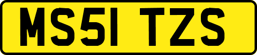 MS51TZS