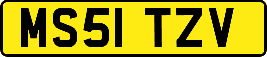 MS51TZV