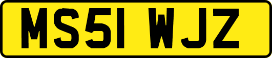 MS51WJZ