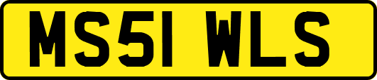 MS51WLS