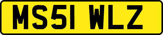 MS51WLZ
