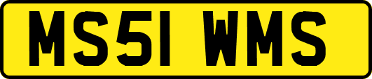 MS51WMS
