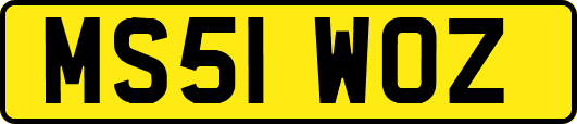 MS51WOZ