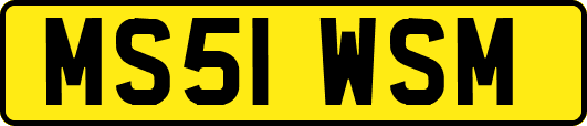 MS51WSM