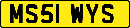MS51WYS