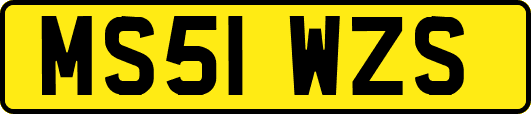 MS51WZS