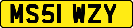 MS51WZY