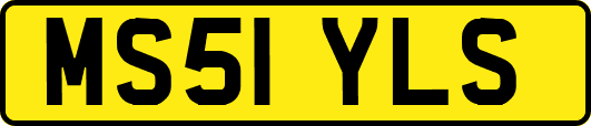 MS51YLS