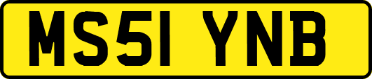 MS51YNB